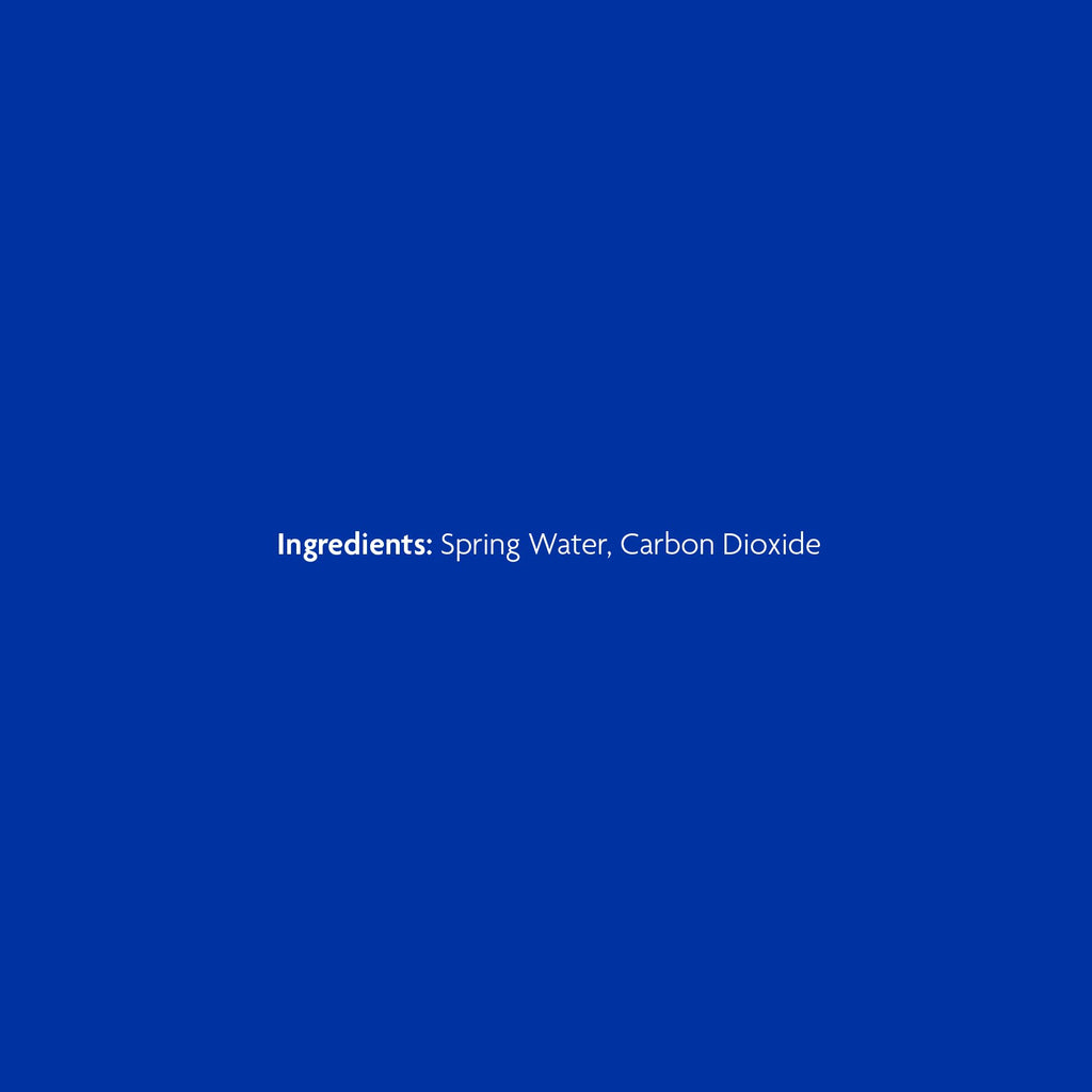 24 Pack 16 Fl Oz Sparkling Water Bottles S858