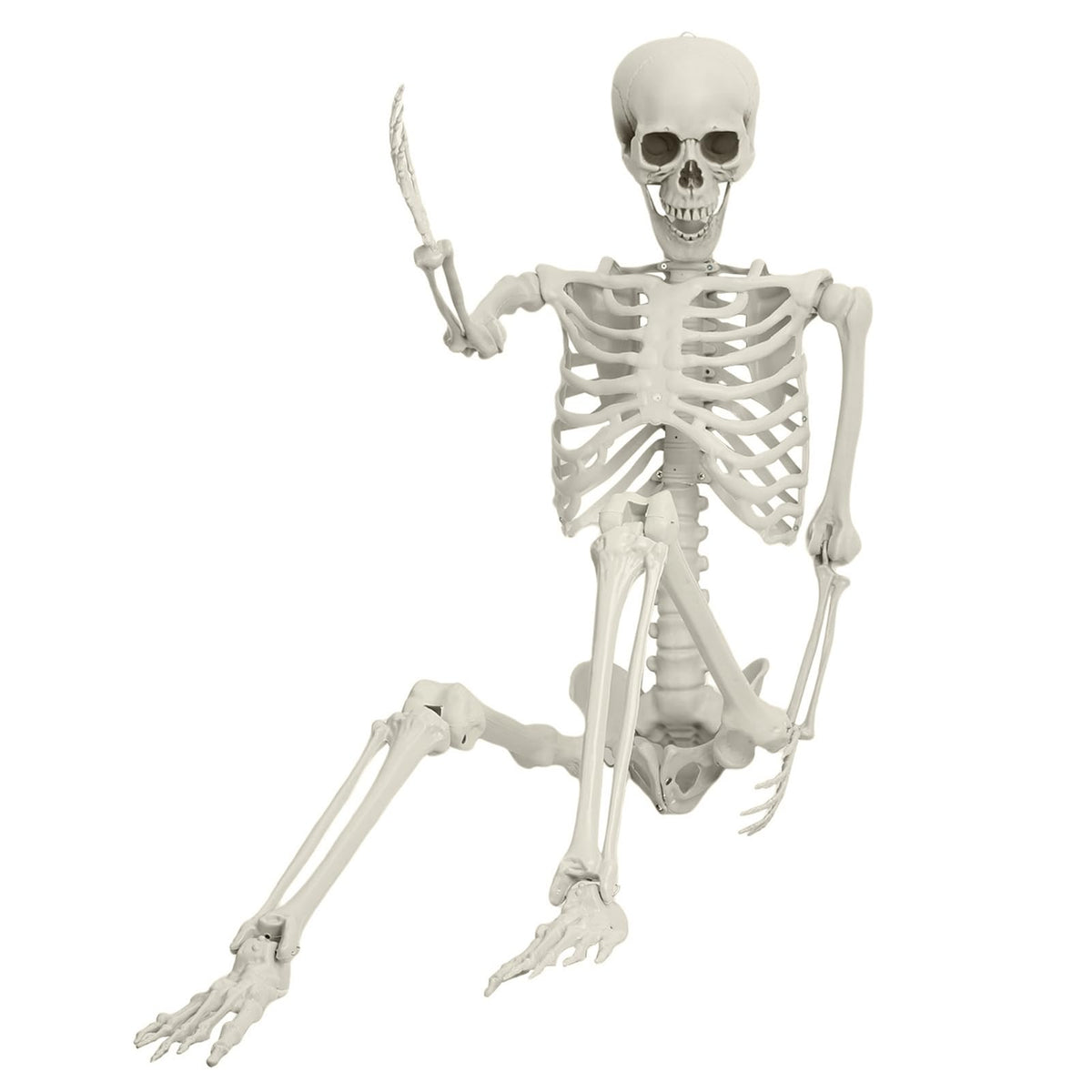Full Size Movable Posable Skeleton U276821