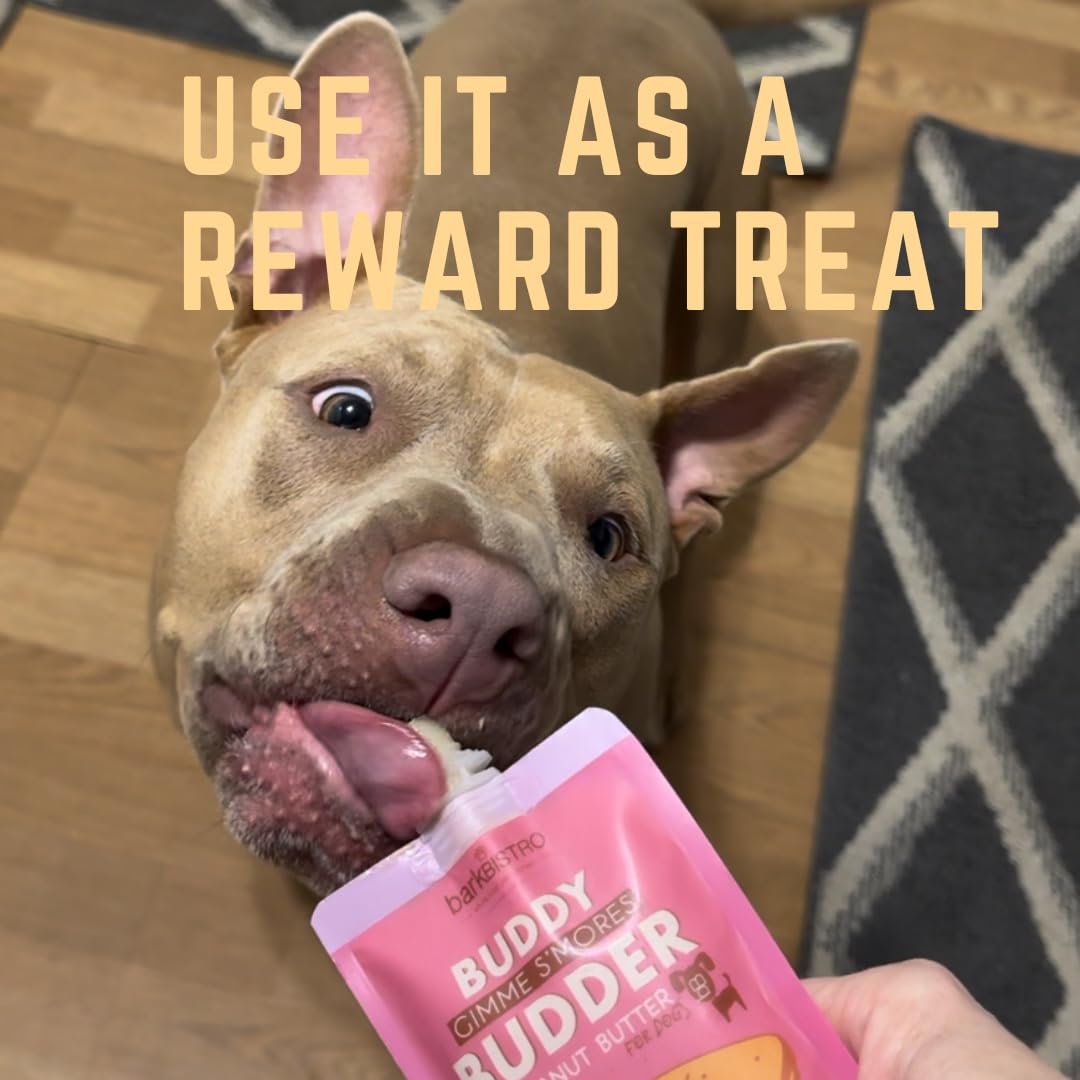100% Natural Peanut Butter Dog Treats 17 oz W1753