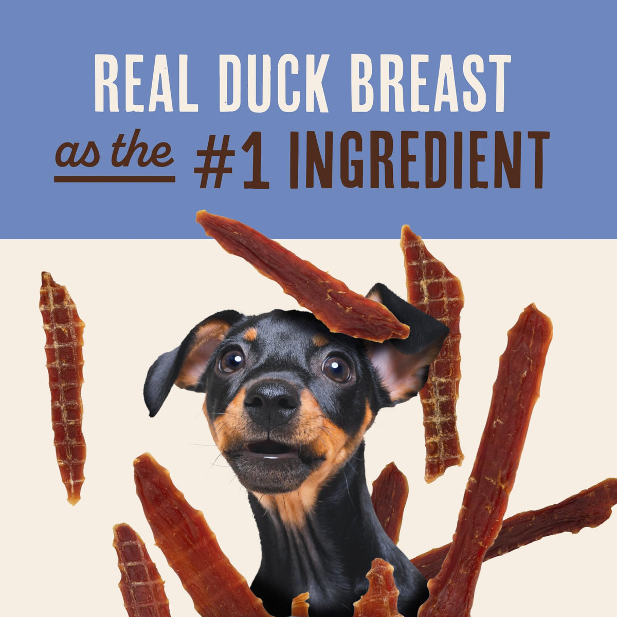 Duck Jerky Dog Treats 12 oz J178