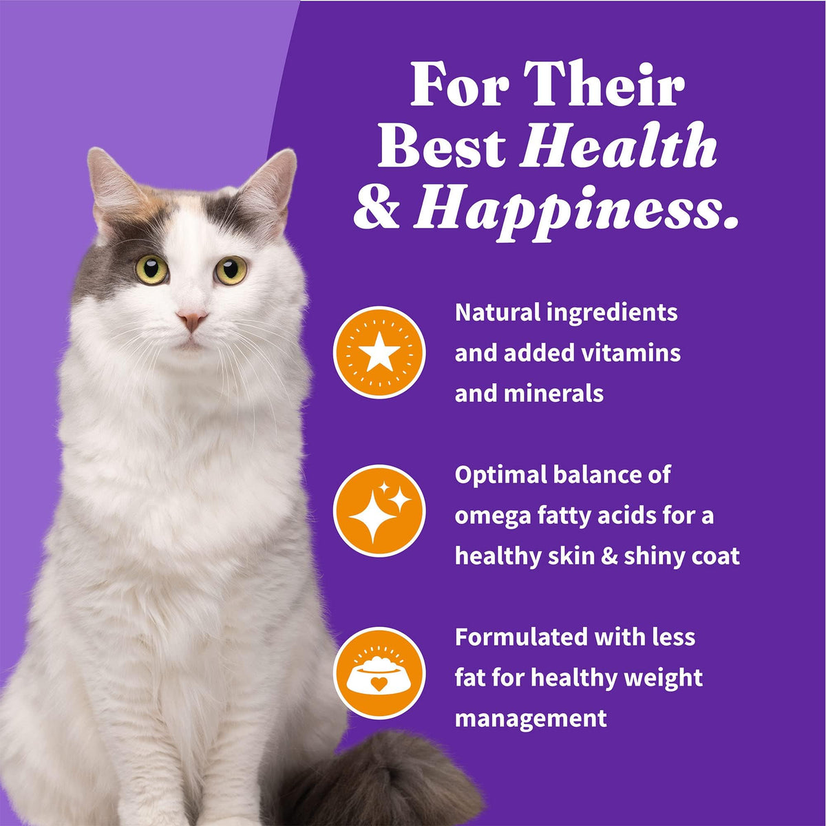 Indoor Dry Cat Food Cage-Free Chicken 10 lb T430