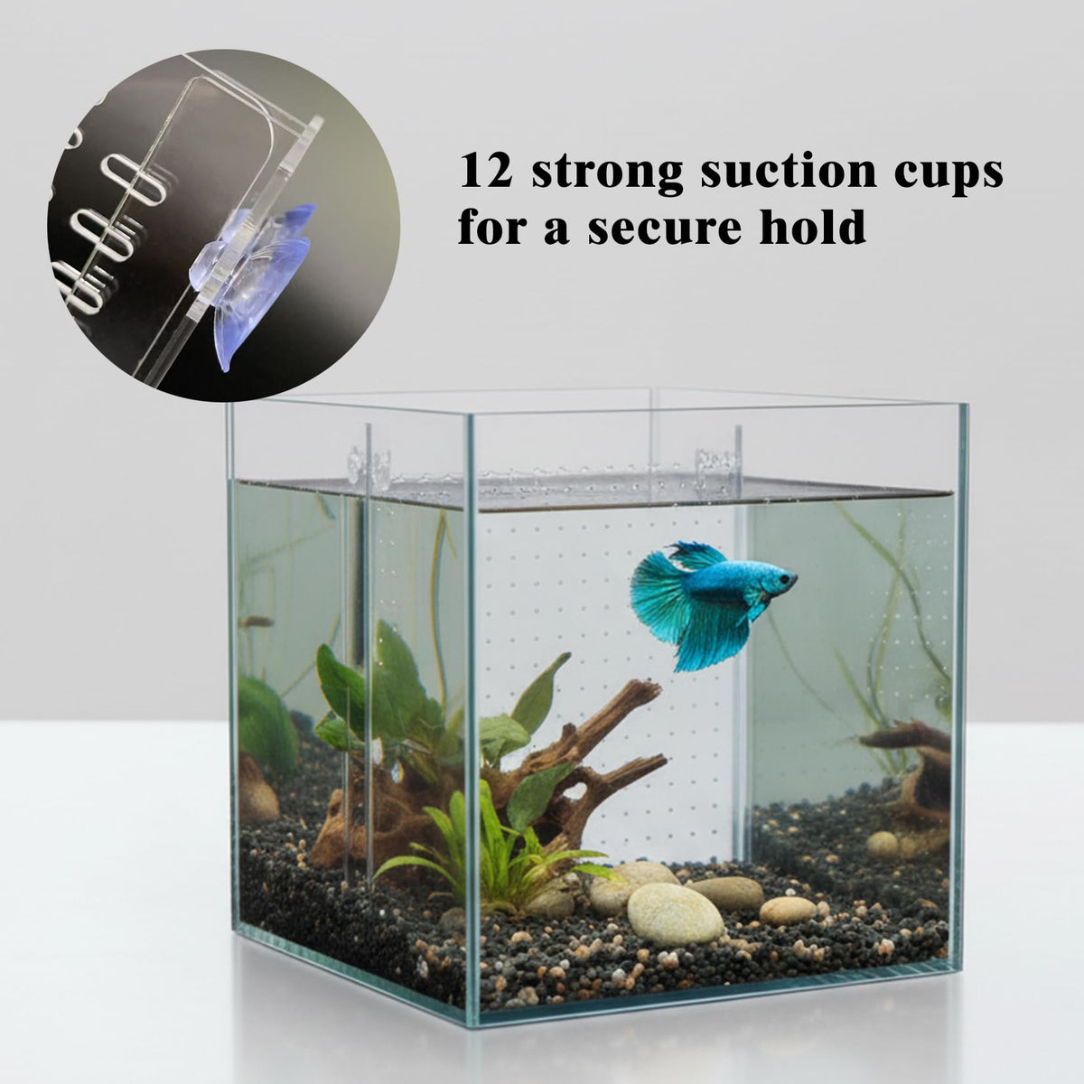 Acrylic Aquarium Divider with Suction Cups S7595