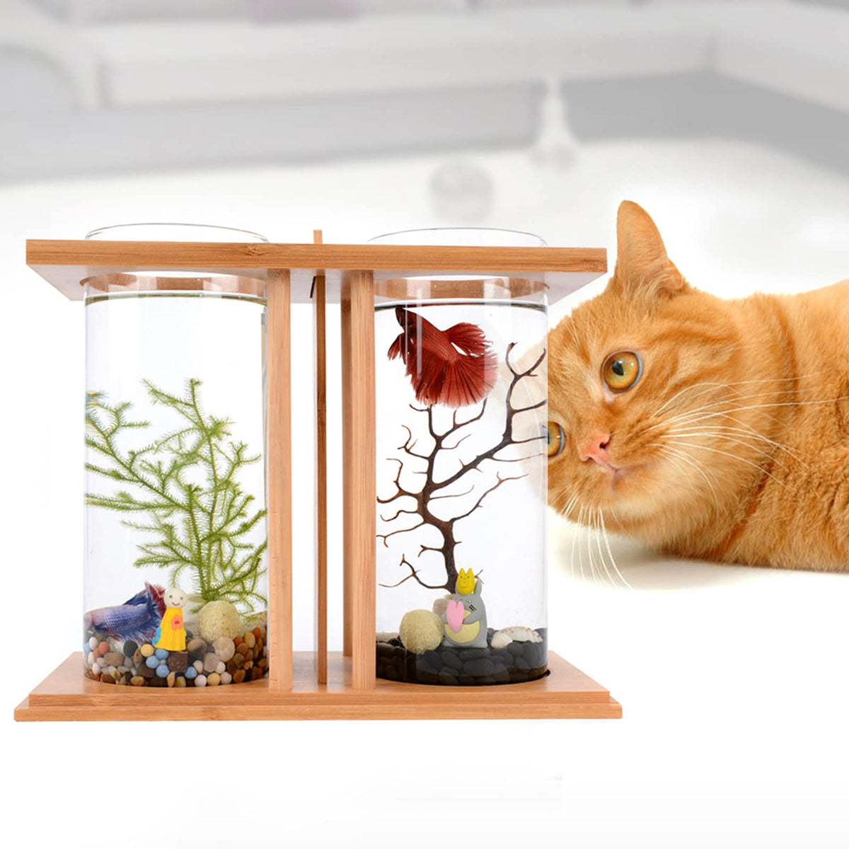 Bamboo Desktop Aquarium with LED Light V170