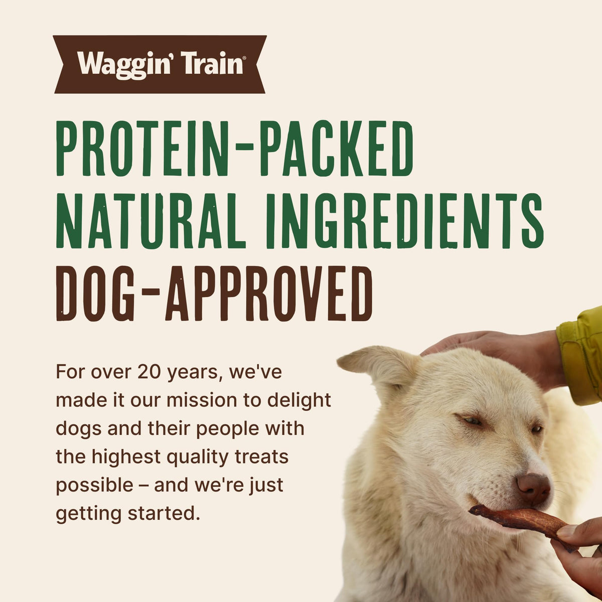 Duck Jerky Dog Treats 12 oz J178