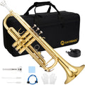 Standard Brass Trumpet Set Y196