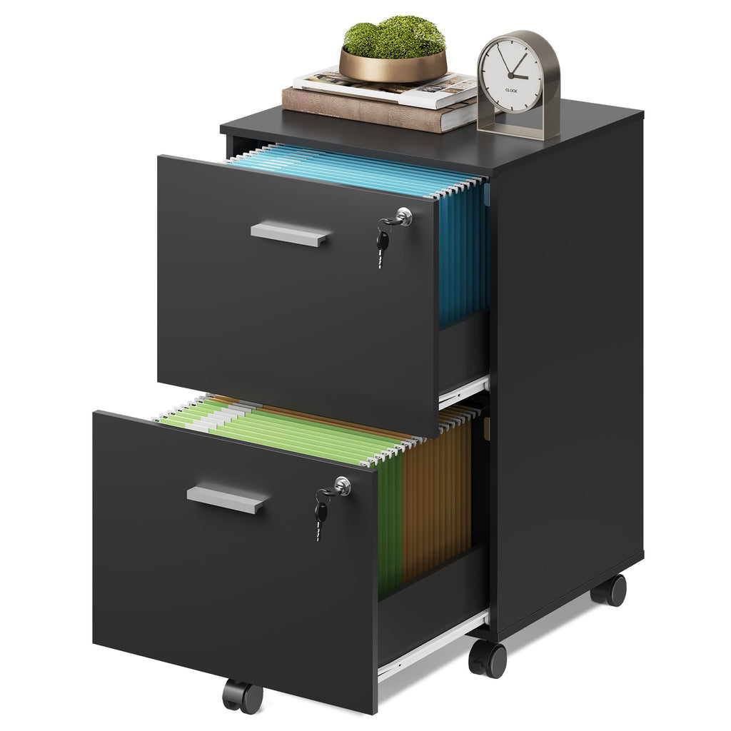 2 Drawer Wood File Cabinet with Lock, Black M573996