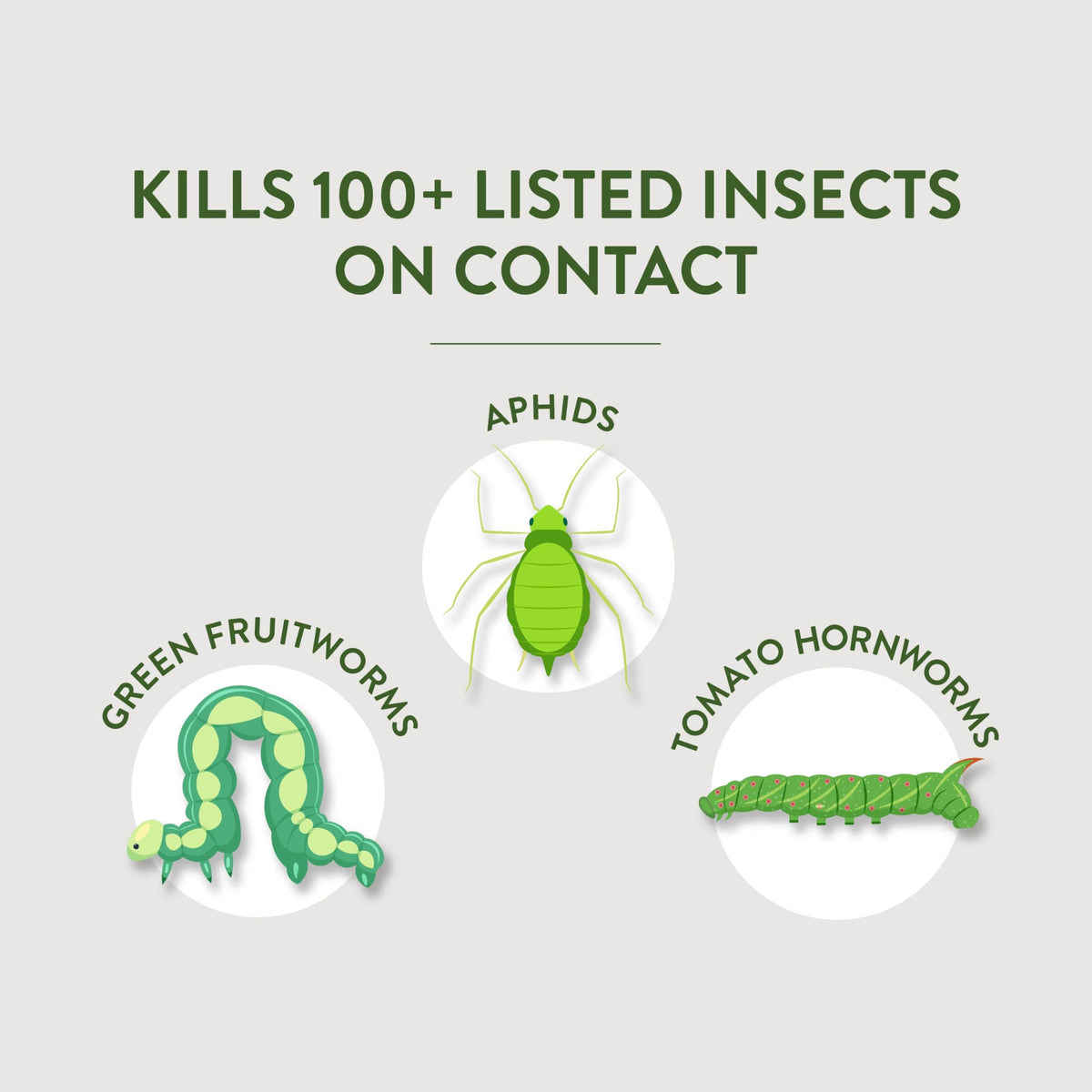Multi-Purpose Garden Insect Killer 32Oz R90537