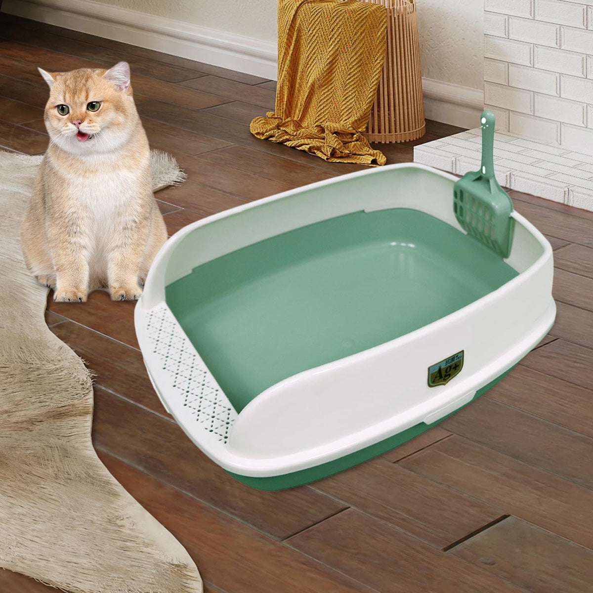 Green Sifting Cat Litter Box E67523
