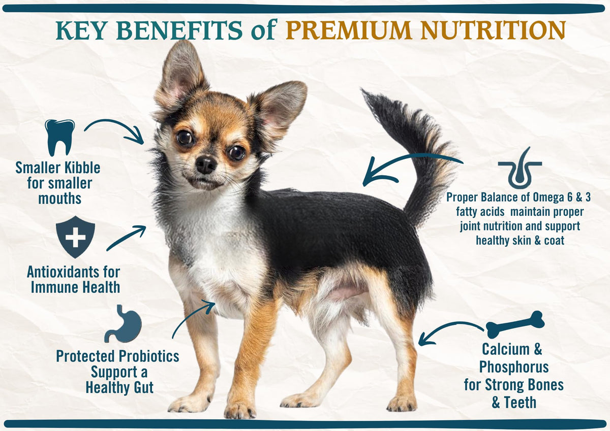 Natural Premium Small Bites Adult Dry Dog Food, Chicken, Brown Rice & Turkey 28lb O3600