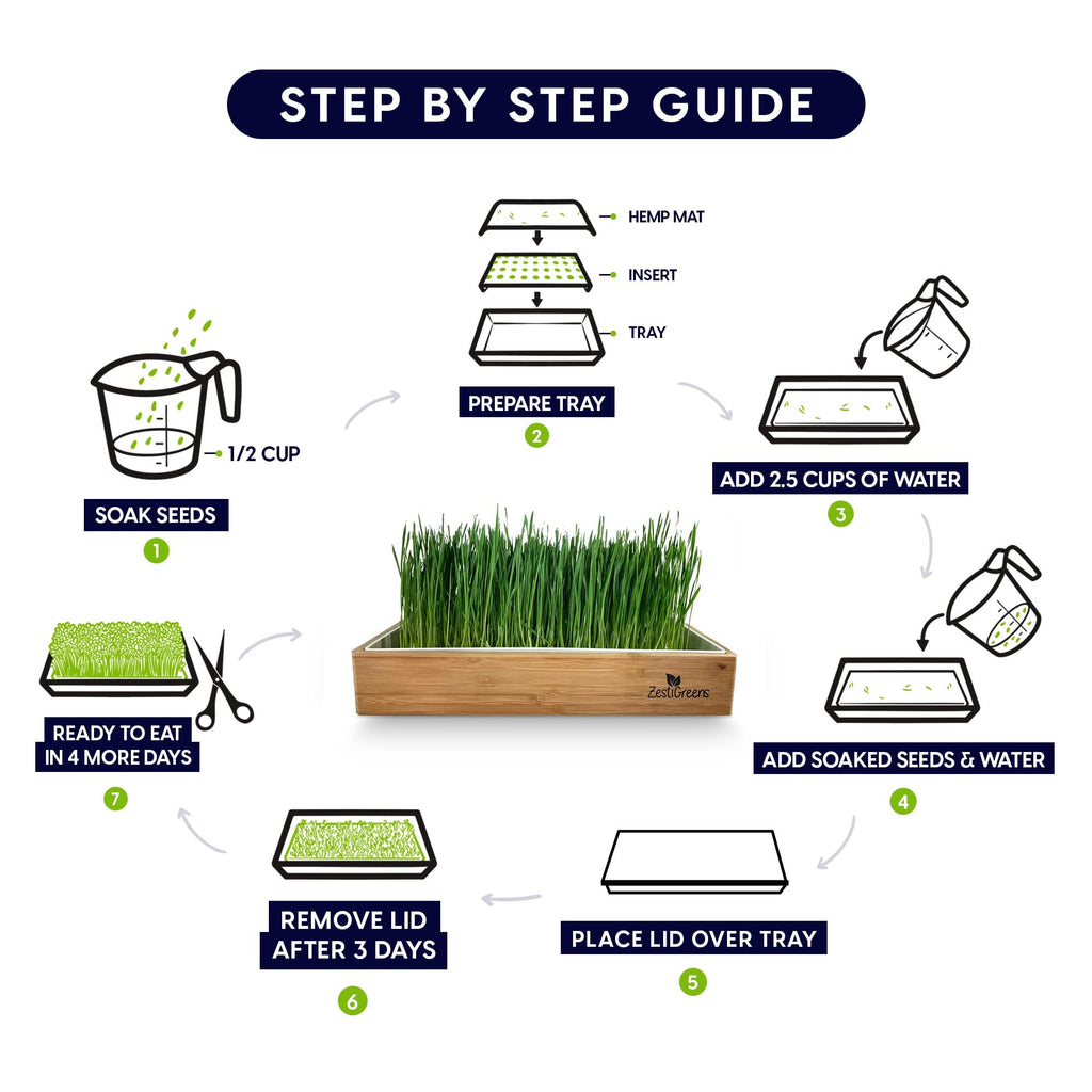 Self-Watering Cat Grass Kit and Refills, 4 Mats and 4 Seed Packets M7978
