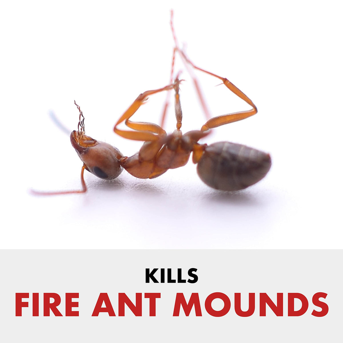 Fire Ant Granules 10 Pounds R1914