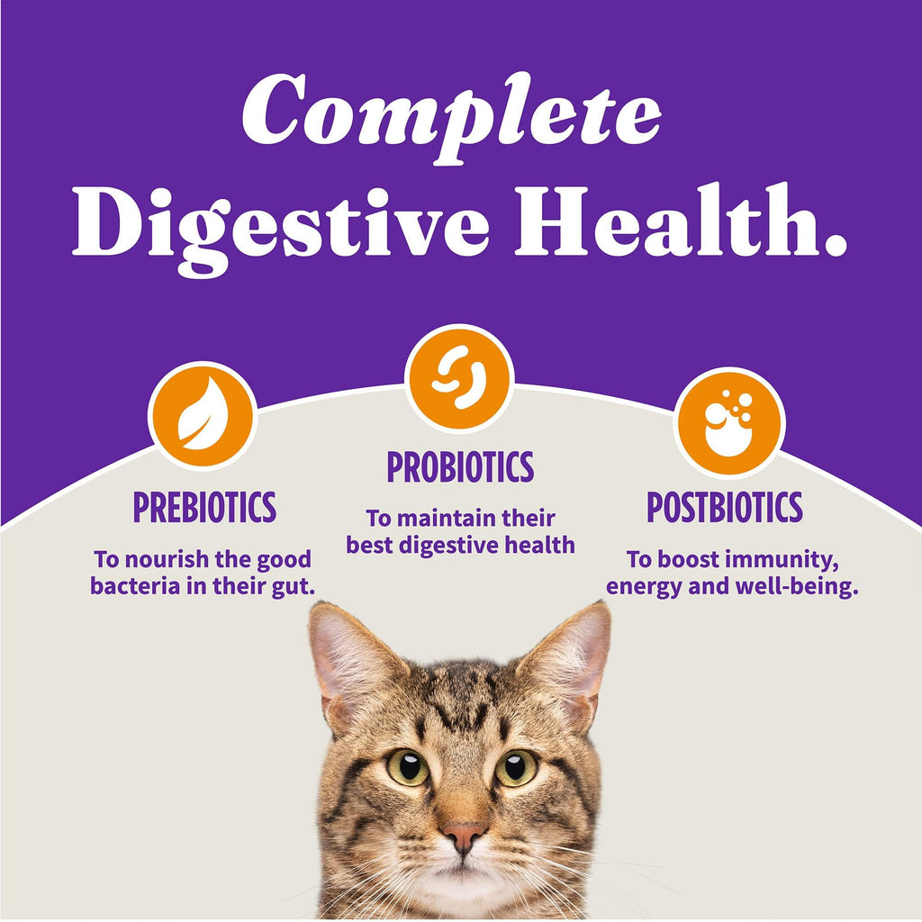 Indoor Dry Cat Food Cage-Free Chicken 10 lb T430