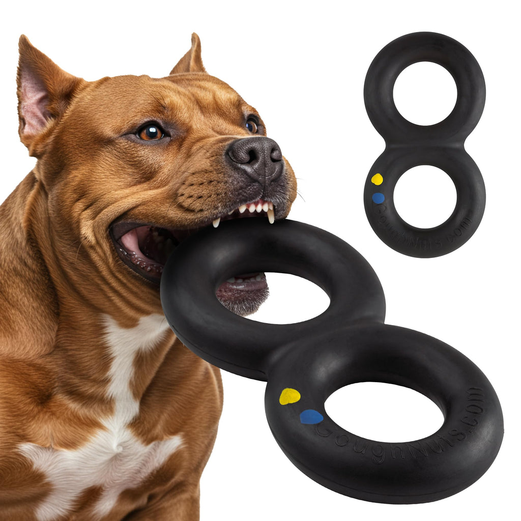 Black Heavy Duty Tug Dog Toy P16010