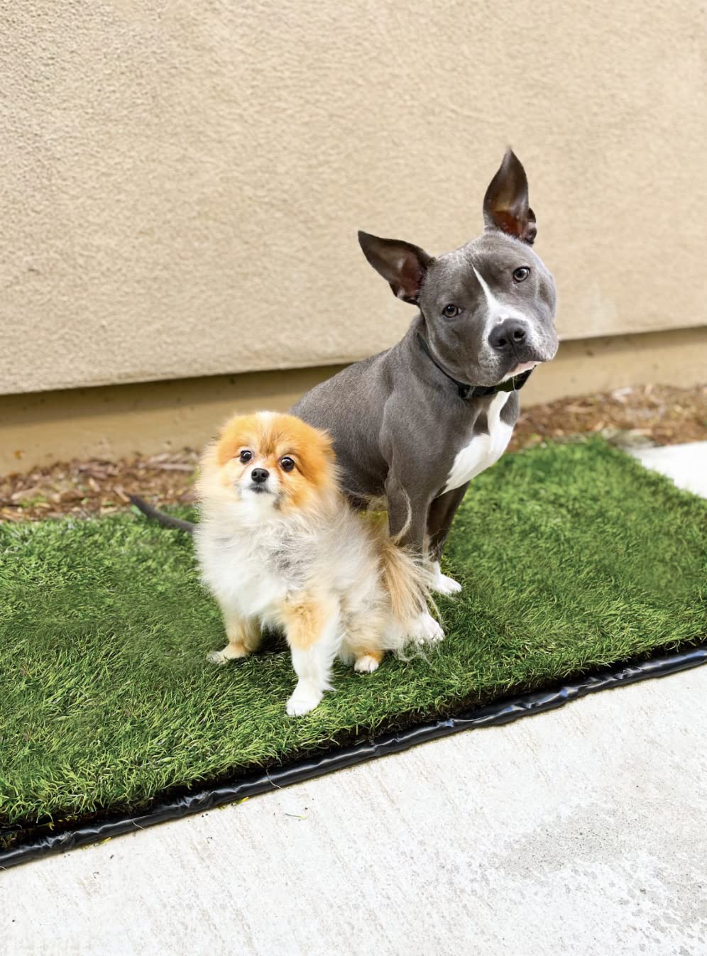 Washable Reusable Leakproof Dog Pee Pad 26.75 in x 51.5 in T573822