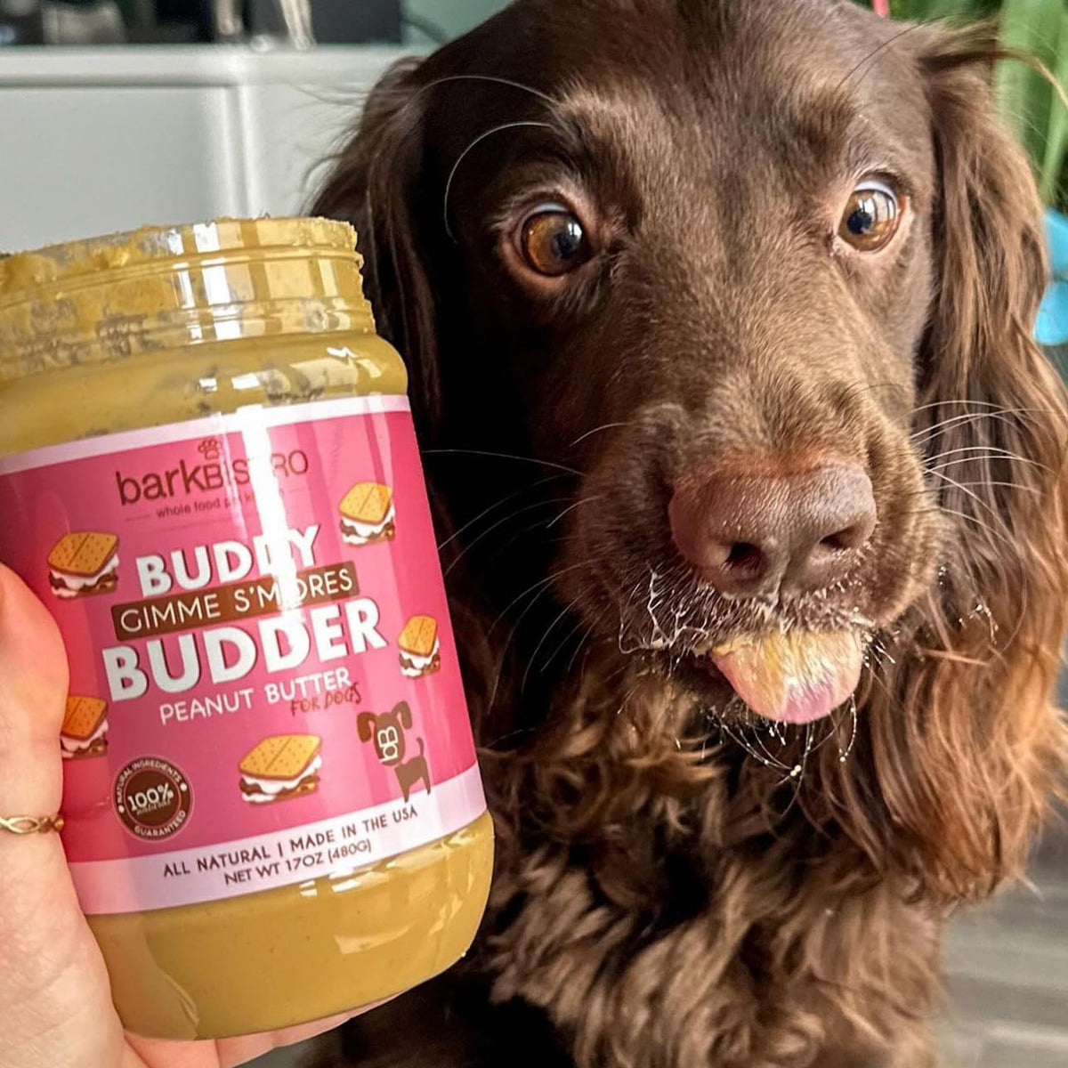 100% Natural Peanut Butter Dog Treats 17 oz W1753