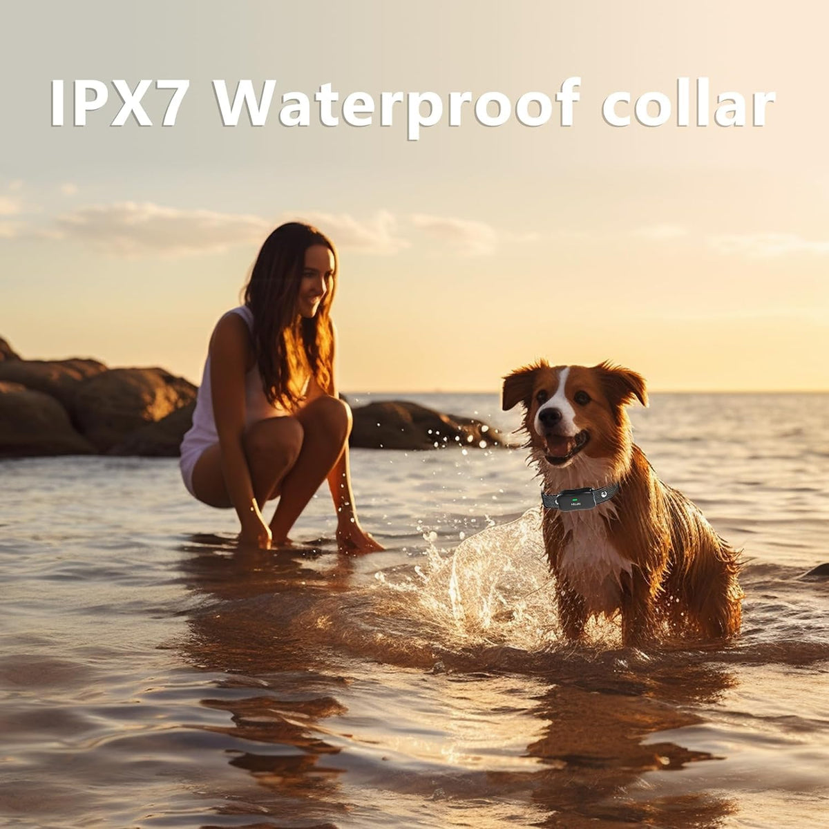 Wireless Dog Fence & Electronic Training Collar 2 in 1, IPX7 Waterproof L8759