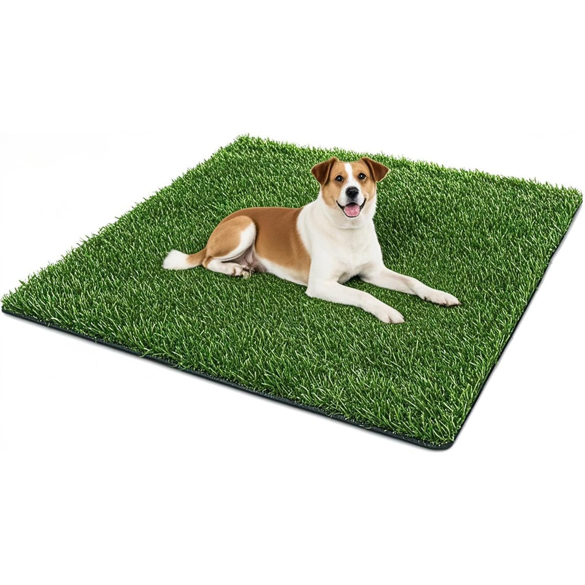 50.1x30.5In Artificial Grass Dog Pee Pad N844