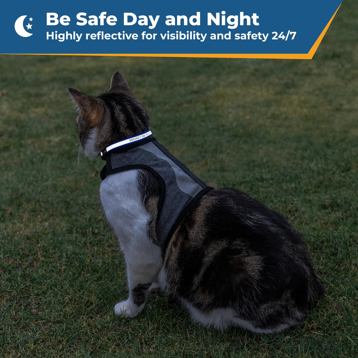 Reflective Cat Collar D416243