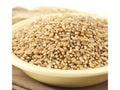 Hard Wheat Berries 50-Pound P86740