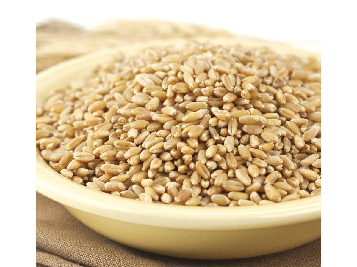 Hard Wheat Berries 50-Pound P86740