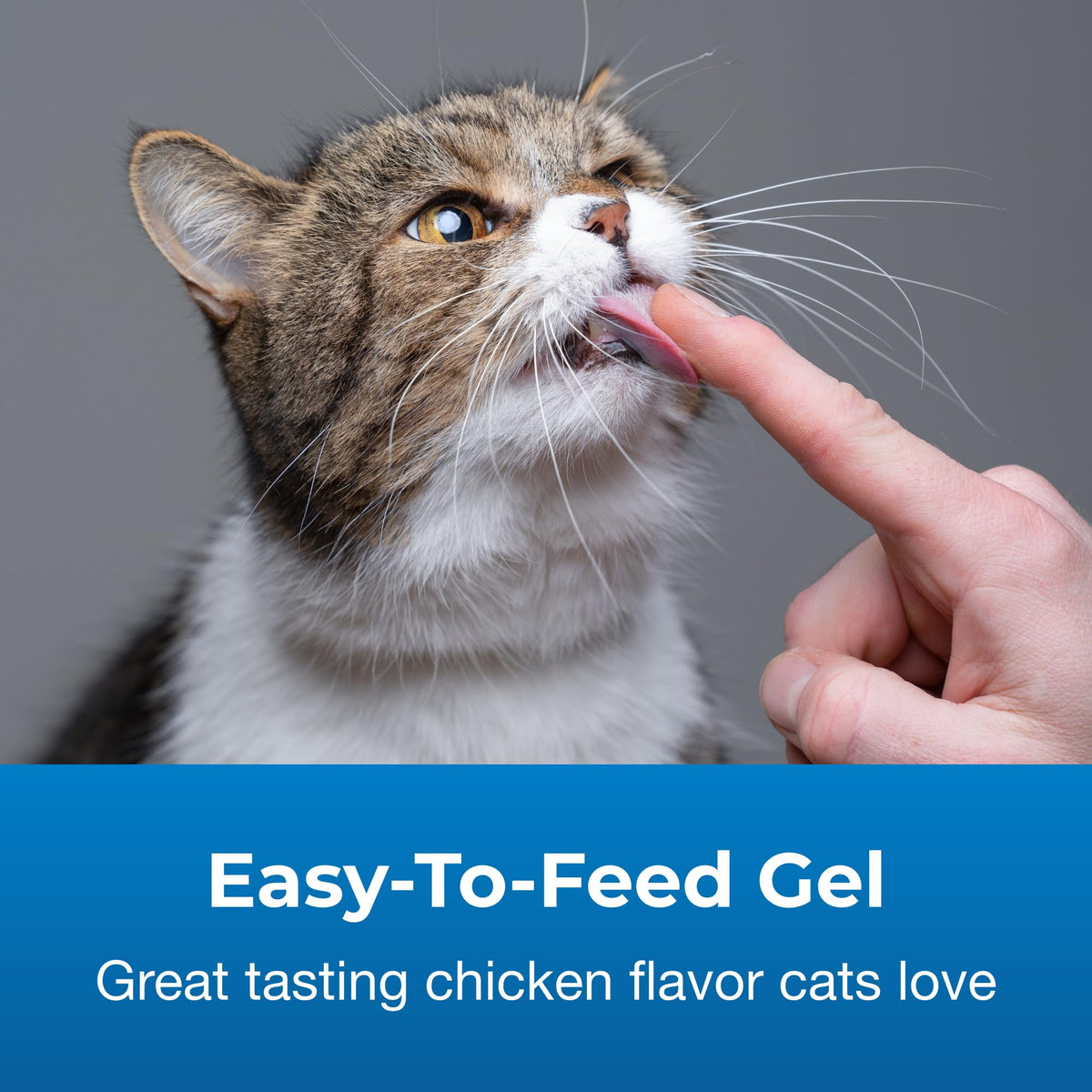 Hairball Solution Gel Supplement for Cats 3.5 oz K1501