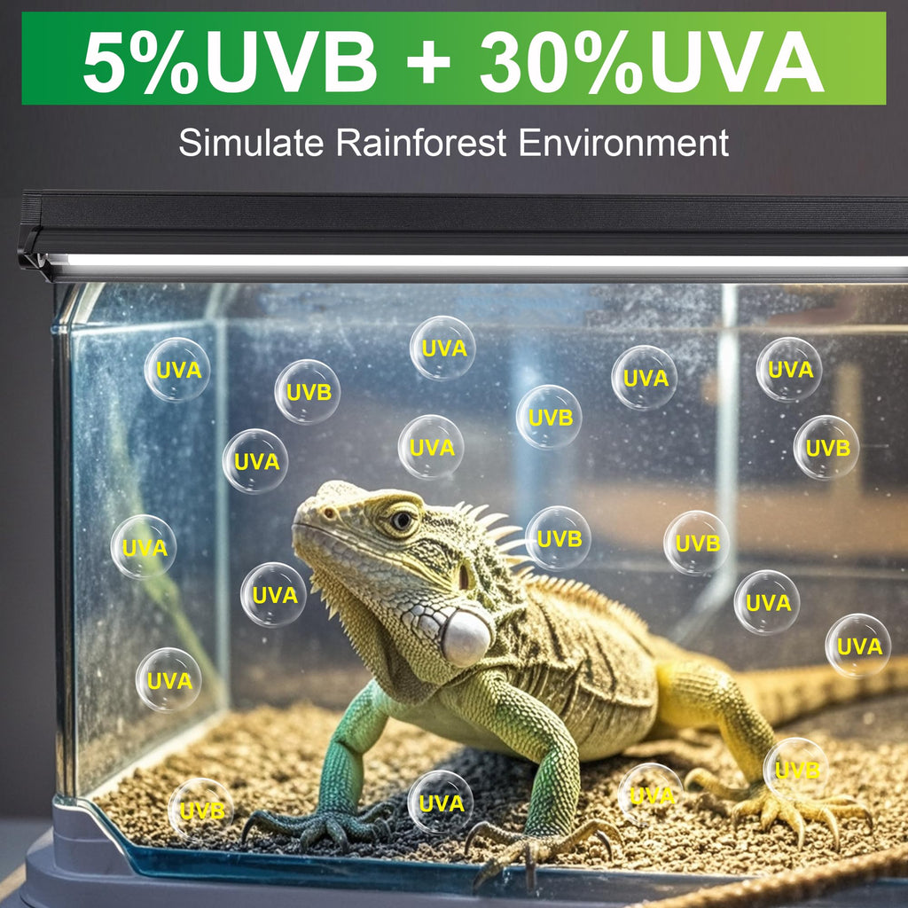 24W T5 5.0 UVB Reptile Light Kit H4866