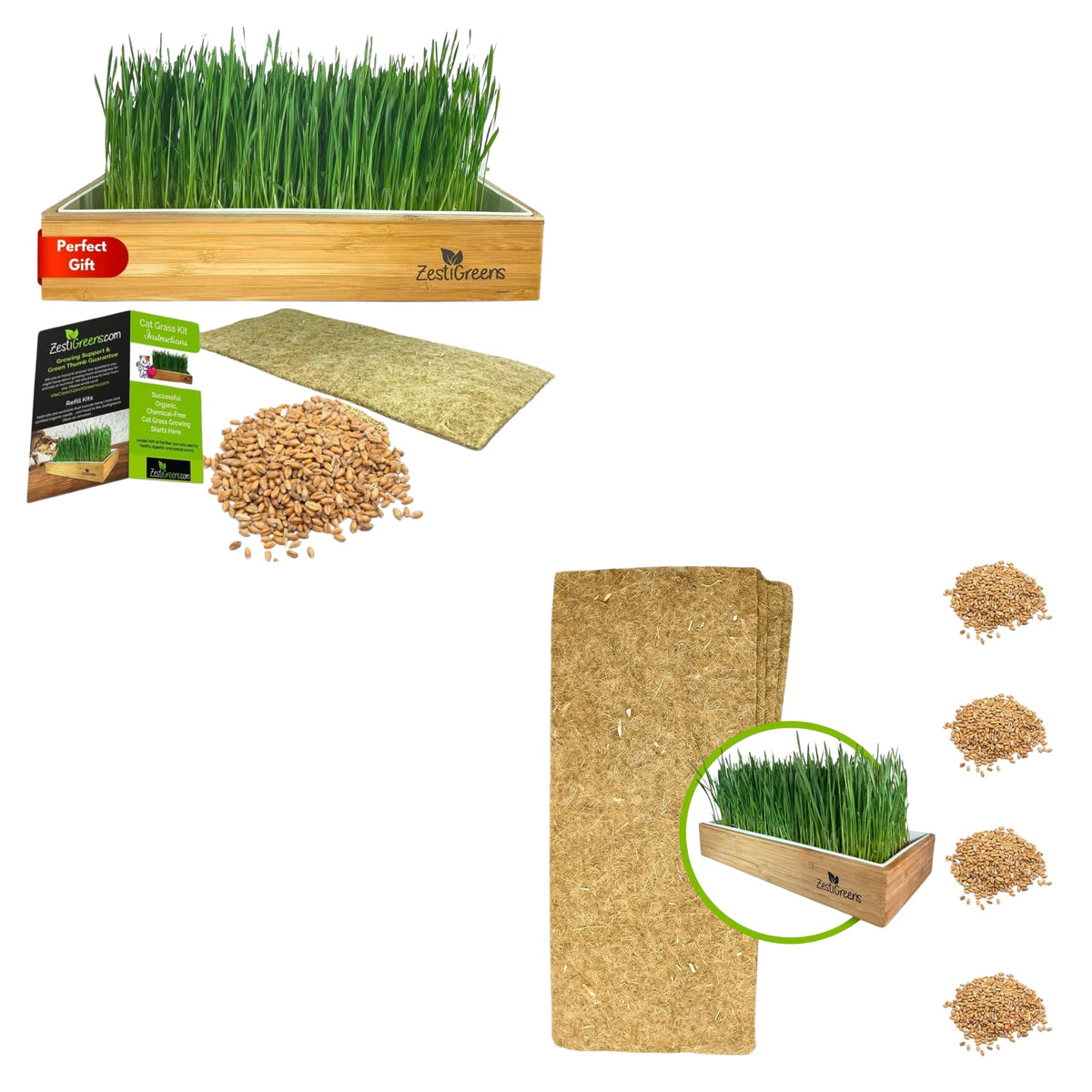 Self-Watering Cat Grass Kit and Refills, 4 Mats and 4 Seed Packets M7978