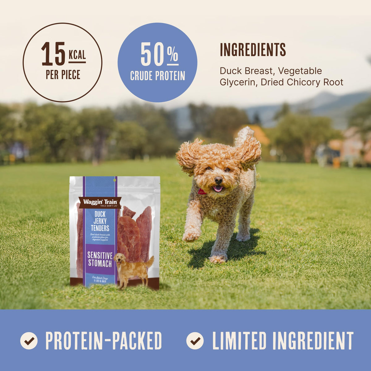 Duck Jerky Dog Treats 12 oz J178