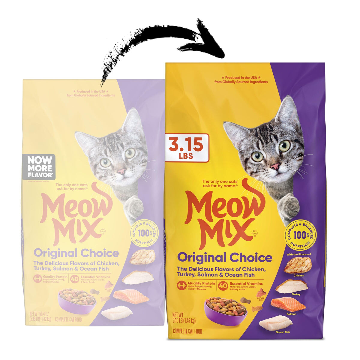 Dry Cat Food 3.15 Pound Bag S19854