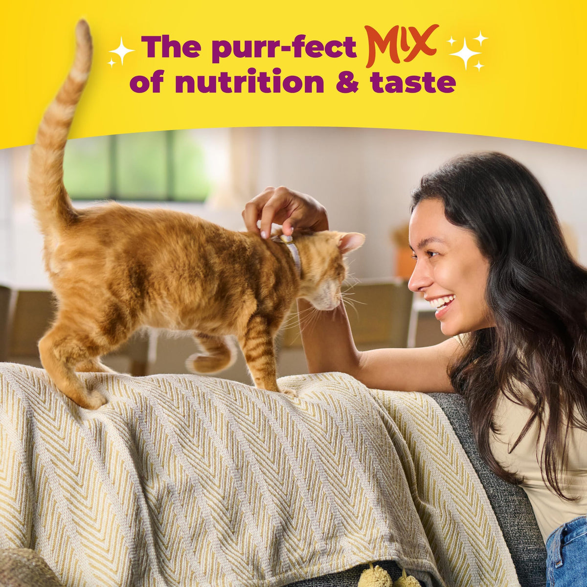 Dry Cat Food 3.15 Pound Bag S19854