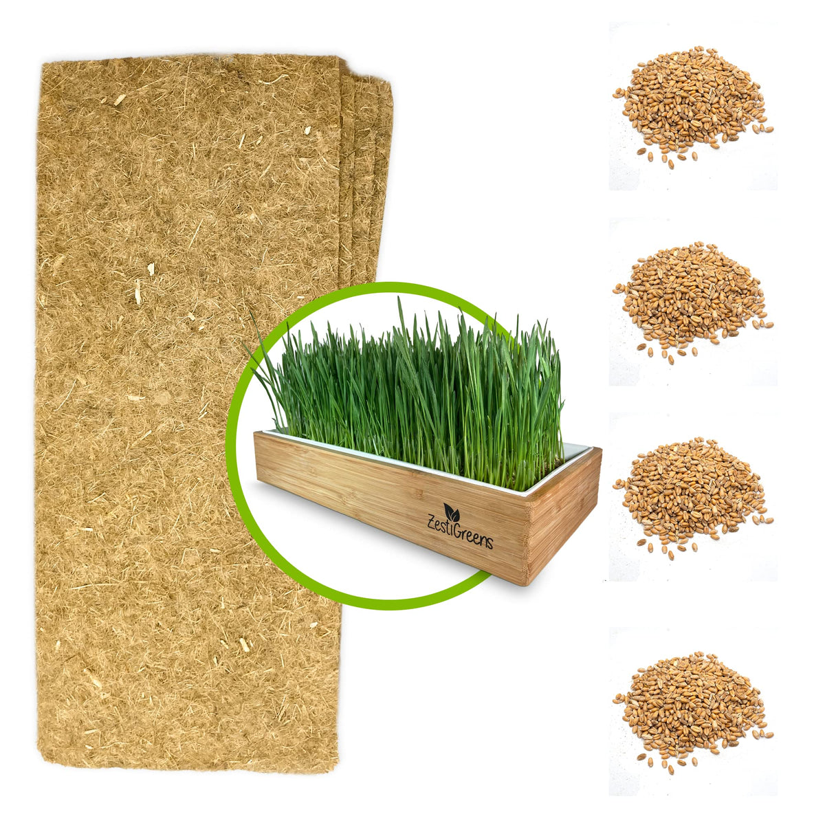 Self-Watering Cat Grass Kit and Refills, 4 Mats and 4 Seed Packets M7978