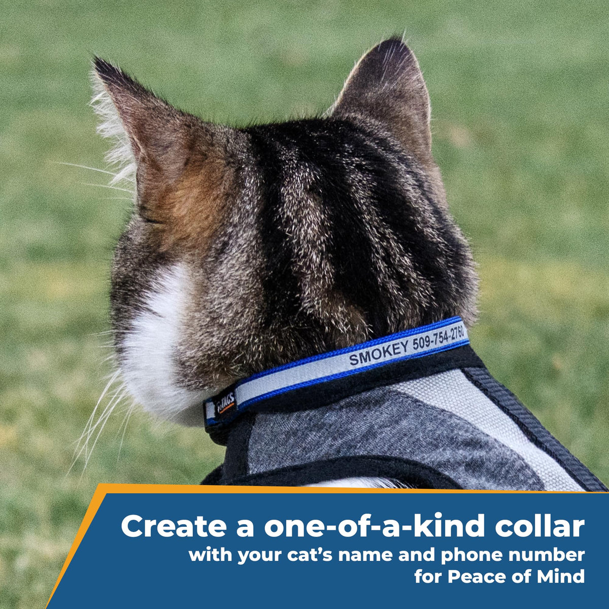 Reflective Cat Collar D416243