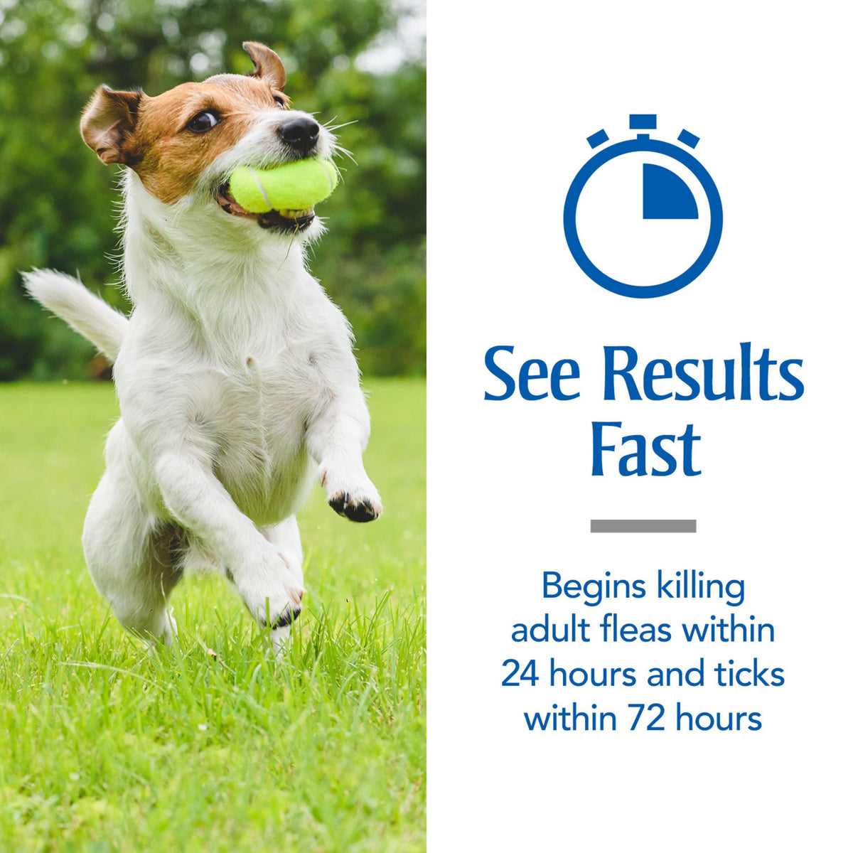 Flea & Tick Topical Dogs 5-22 lbs, Fipronil, 3-Month Y9004
